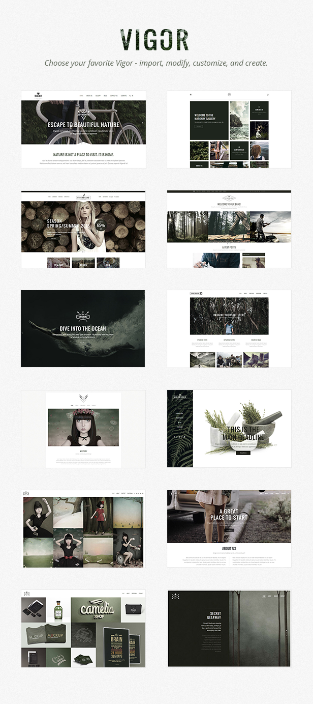 Vigor - Vintage WordPress Theme - 1