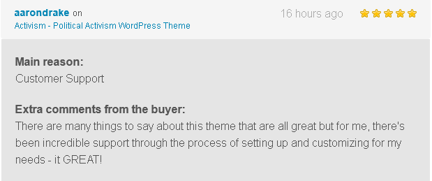 Activism - Political WordPress Theme - 10